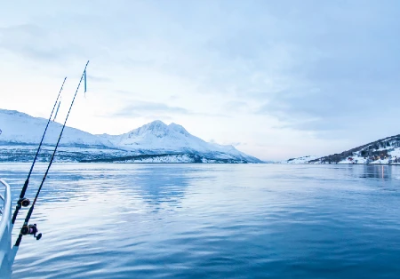 Things to Do in Tromsø - Tromsø Fishing Trip Boat Tour