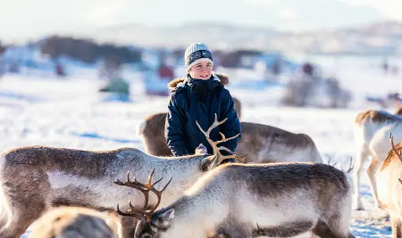 Tromsø Reindeer Farm Visit