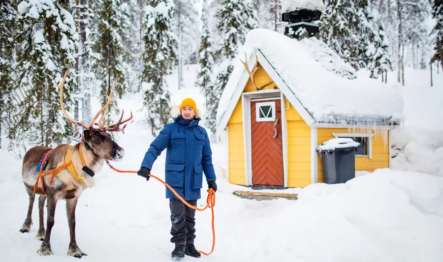 Tromsø Things to Do Sami Reindeer Farm Visit